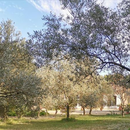 Mas Des Oursons - Chambres D'Hotes Arles Exteriér fotografie