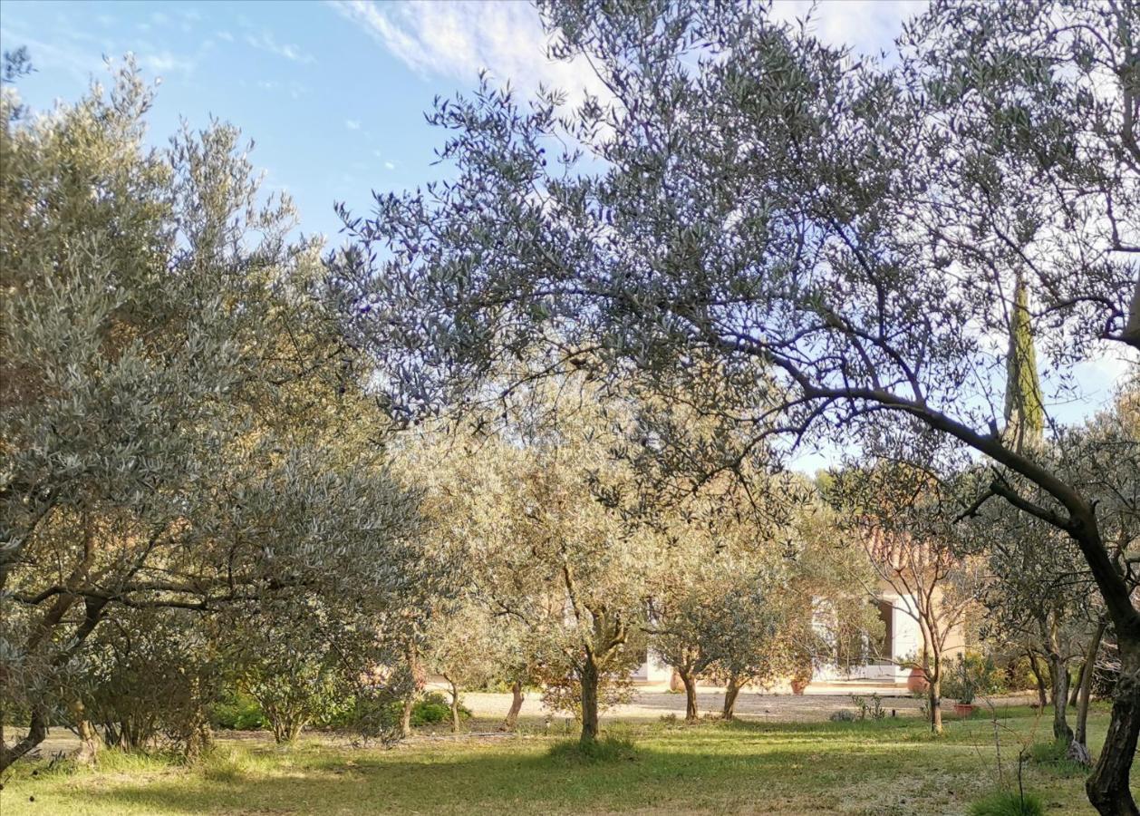 Mas Des Oursons - Chambres D'Hotes Arles Exteriér fotografie